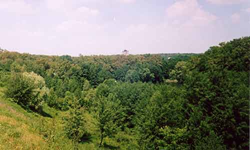 This is an example of the highest level of ecosystem stability to plant pests, and a demonstration of possibility of humans to establish such ecosystems, and keep their general stability over centuries 16 k