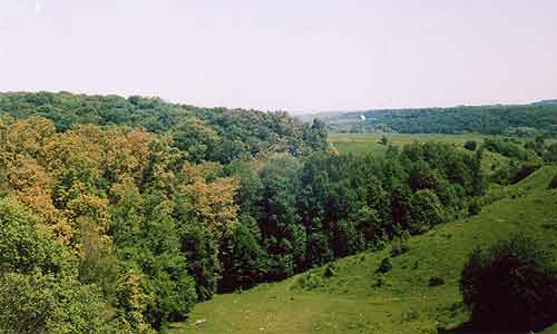 This is an example of the highest level of ecosystem stability to plant pests, and a demonstration of possibility of humans to establish such ecosystems, and keep their general stability over centuries 16 k