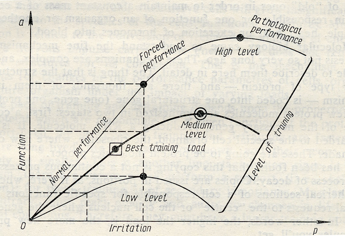Levels trenirovannosti structure